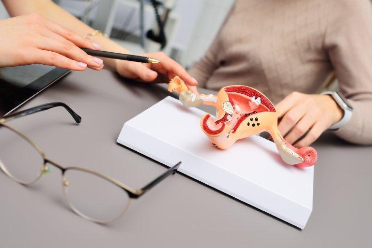 Ginekolog pokazuje długopisem na makietę kobiecych narządów rozrodczych